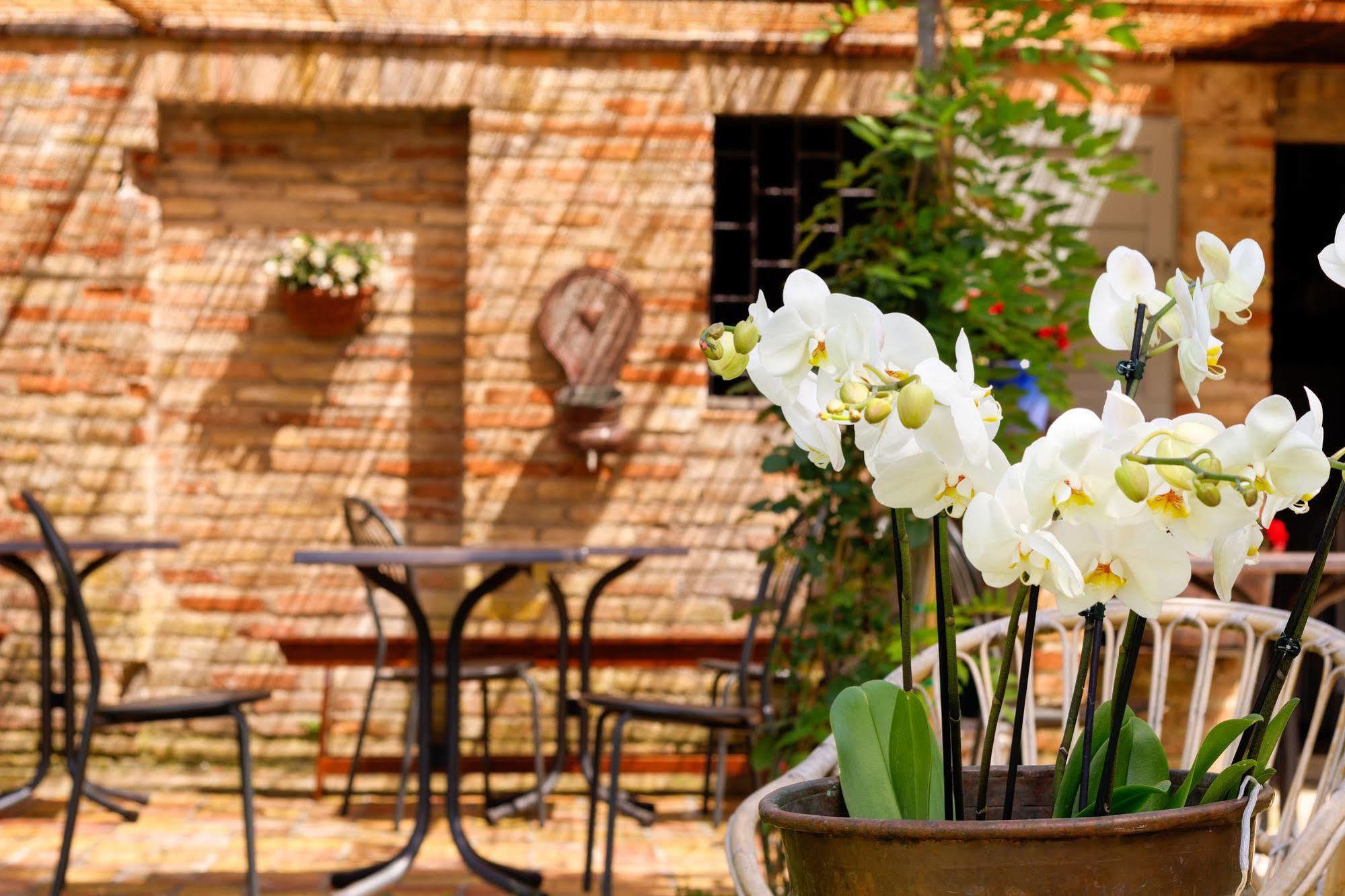 B&B La Residenza Del Poeta Montesicuro 外观 照片